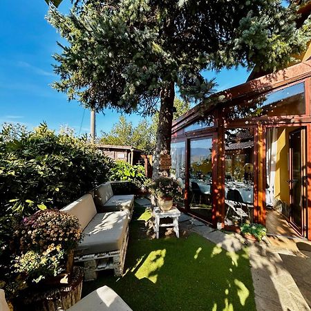 Agriturismo Terra E Cielo Serra Ricco Экстерьер фото