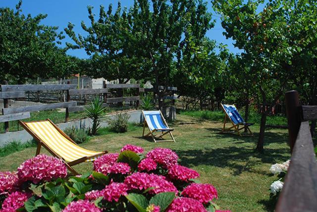 Agriturismo Terra E Cielo Serra Ricco Экстерьер фото